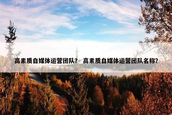 高素质自媒体运营团队？ 高素质自媒体运营团队名称？