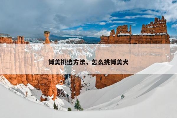 博美挑选方法，怎么挑博美犬