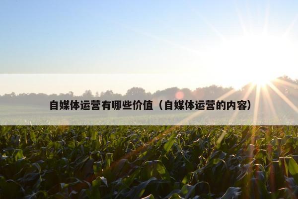 自媒体运营有哪些价值（自媒体运营的内容）