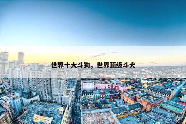 世界十大斗狗，世界顶级斗犬