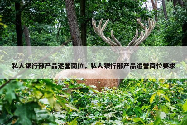 私人银行部产品运营岗位，私人银行部产品运营岗位要求
