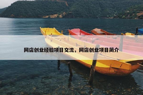 网店创业经验项目交流，网店创业项目简介