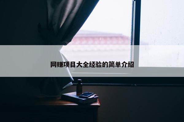 网赚项目大全经验的简单介绍