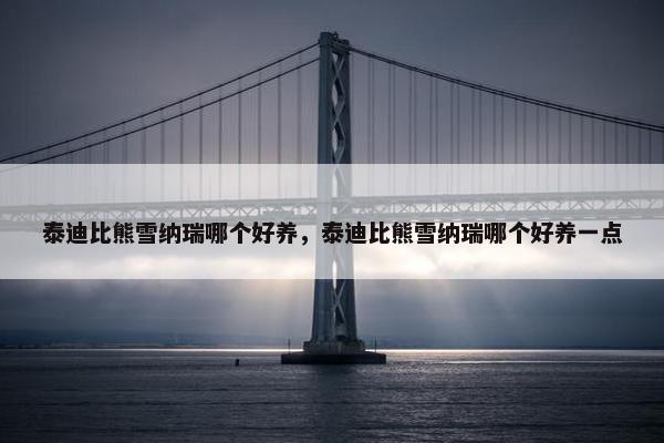 泰迪比熊雪纳瑞哪个好养，泰迪比熊雪纳瑞哪个好养一点