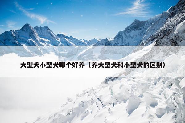 大型犬小型犬哪个好养（养大型犬和小型犬的区别）