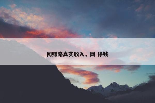 网赚路真实收入，网 挣钱