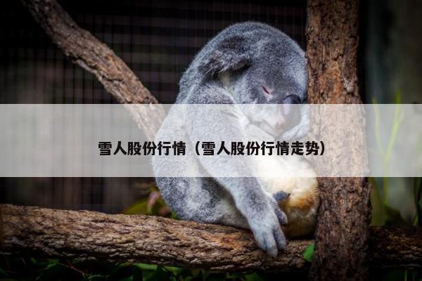 雪人股份行情（雪人股份行情走势）