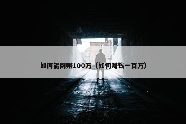 如何能网赚100万（如何赚钱一百万）