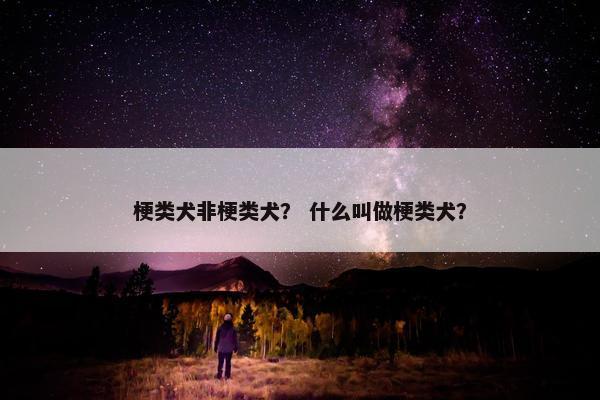 梗类犬非梗类犬？ 什么叫做梗类犬？