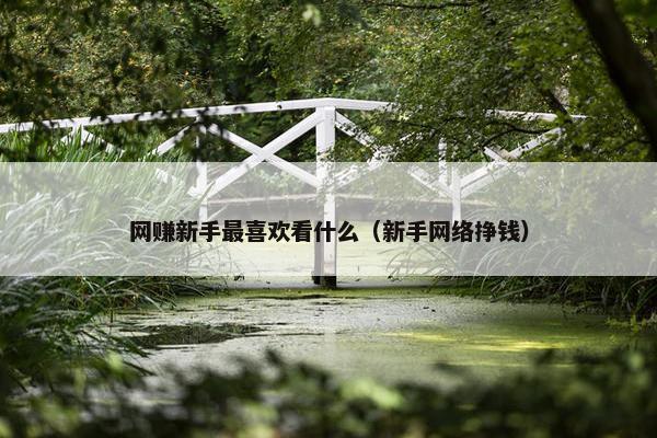 网赚新手最喜欢看什么（新手网络挣钱）