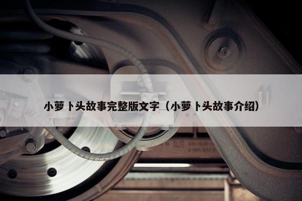 小萝卜头故事完整版文字（小萝卜头故事介绍）
