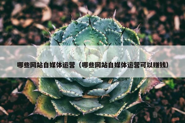 哪些网站自媒体运营（哪些网站自媒体运营可以赚钱）
