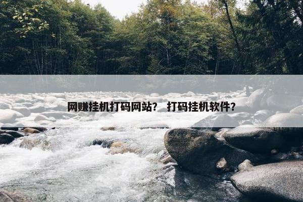 网赚挂机打码网站？ 打码挂机软件？