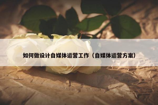 如何做设计自媒体运营工作（自媒体运营方案）