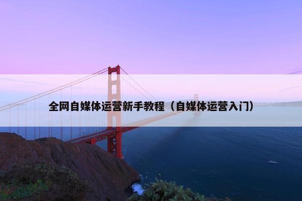 全网自媒体运营新手教程（自媒体运营入门）