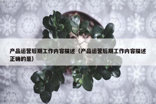产品运营后期工作内容描述（产品运营后期工作内容描述正确的是）