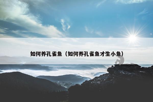 如何养孔雀鱼（如何养孔雀鱼才生小鱼）