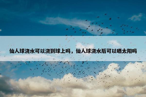仙人球浇水可以浇到球上吗，仙人球浇水后可以晒太阳吗