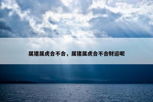 属猪属虎合不合，属猪属虎合不合财运呢