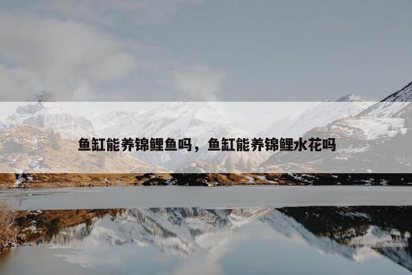 鱼缸能养锦鲤鱼吗，鱼缸能养锦鲤水花吗