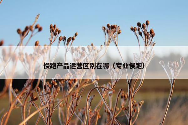 慢跑产品运营区别在哪（专业慢跑）