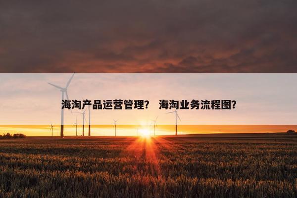 海淘产品运营管理？ 海淘业务流程图？