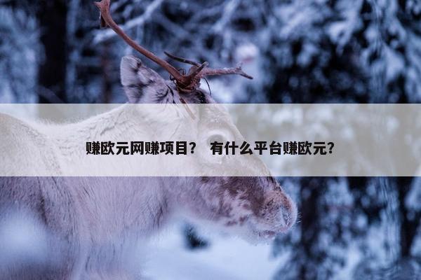 赚欧元网赚项目？ 有什么平台赚欧元？
