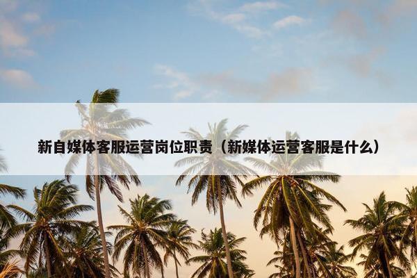新自媒体客服运营岗位职责（新媒体运营客服是什么）