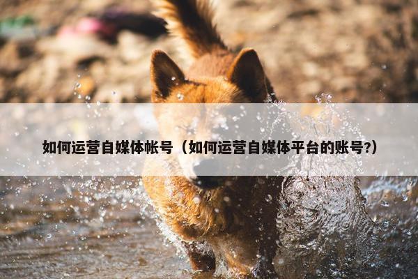 如何运营自媒体帐号（如何运营自媒体平台的账号?）