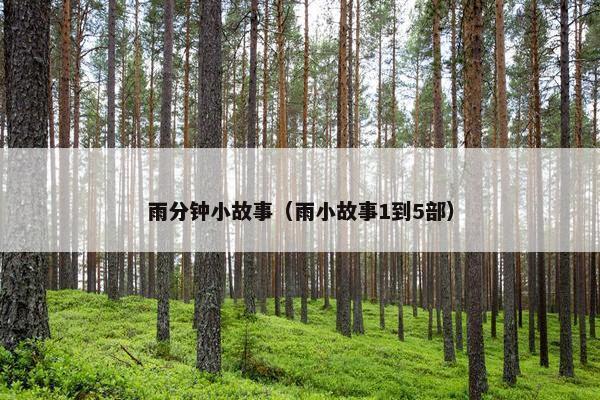 雨分钟小故事（雨小故事1到5部）