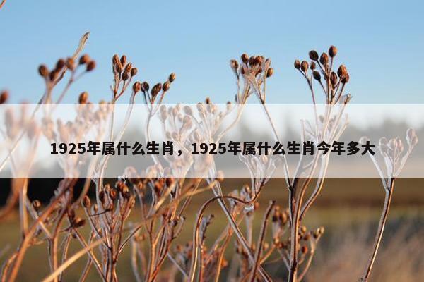 1925年属什么生肖，1925年属什么生肖今年多大