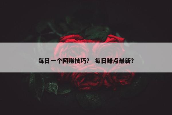 每日一个网赚技巧？ 每日赚点最新？