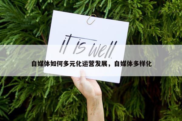 自媒体如何多元化运营发展，自媒体多样化
