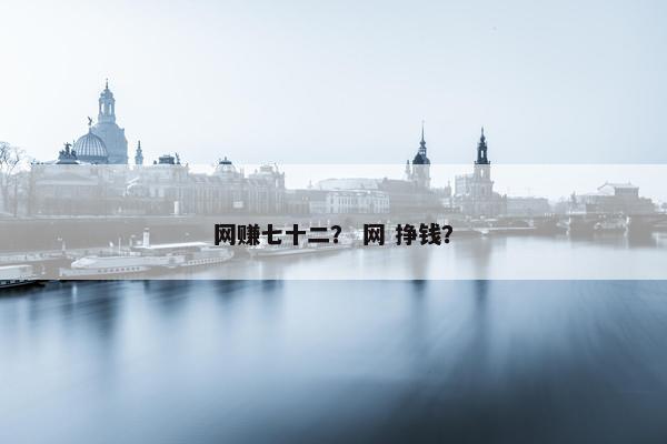 网赚七十二？ 网 挣钱？