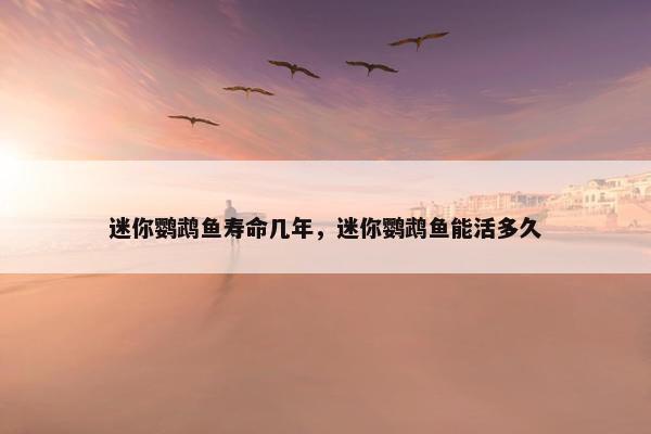 迷你鹦鹉鱼寿命几年，迷你鹦鹉鱼能活多久