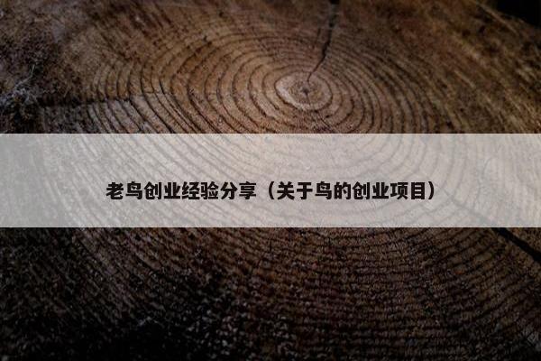 老鸟创业经验分享（关于鸟的创业项目）