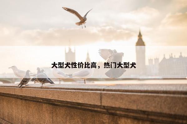 大型犬性价比高，热门大型犬