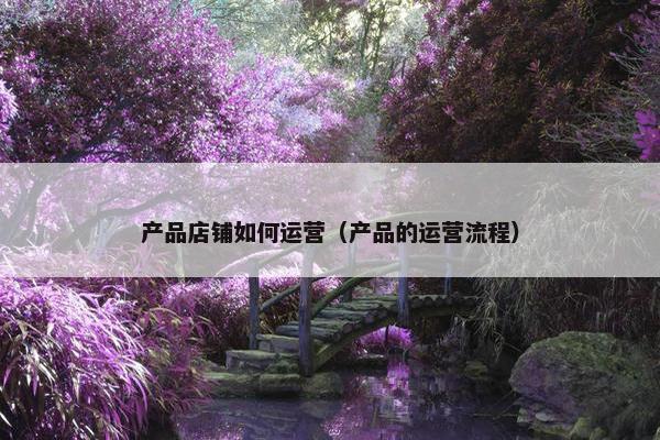 产品店铺如何运营（产品的运营流程）