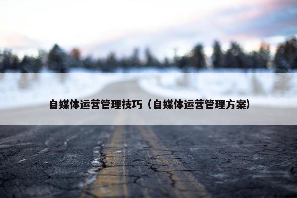 自媒体运营管理技巧（自媒体运营管理方案）
