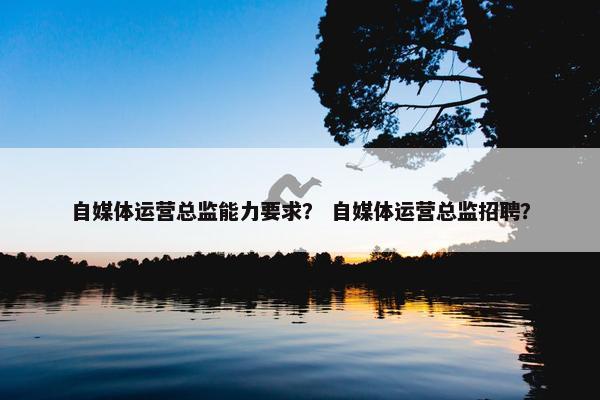 自媒体运营总监能力要求？ 自媒体运营总监招聘？