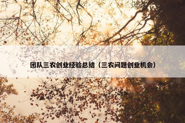 团队三农创业经验总结（三农问题创业机会）