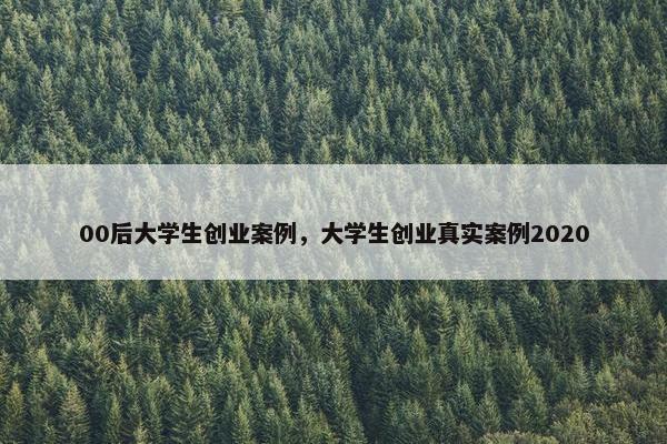 00后大学生创业案例，大学生创业真实案例2020