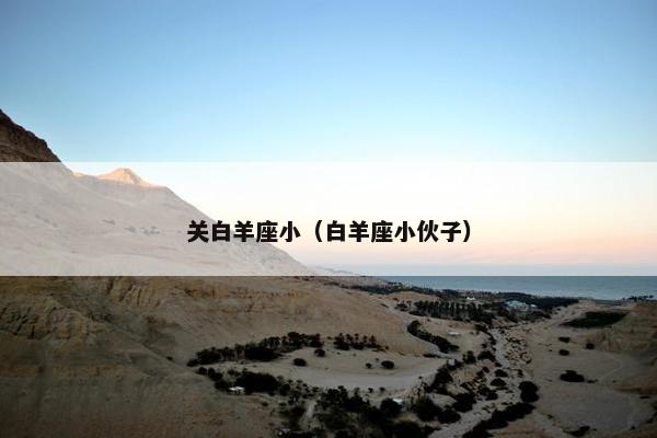 关白羊座小（白羊座小伙子）