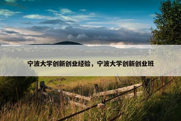 宁波大学创新创业经验，宁波大学创新创业班