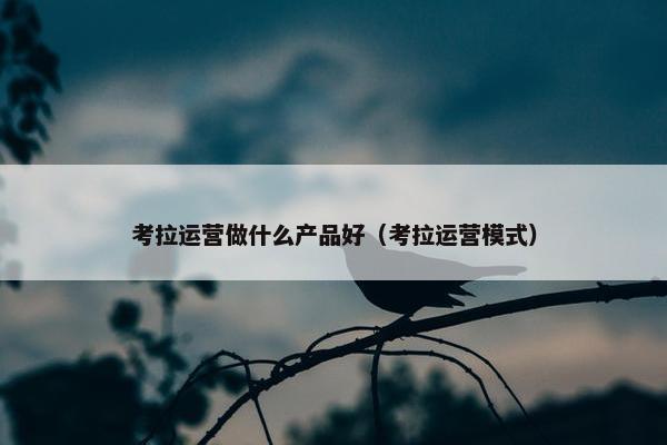 考拉运营做什么产品好（考拉运营模式）
