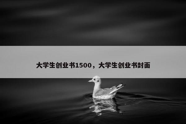 大学生创业书1500，大学生创业书封面