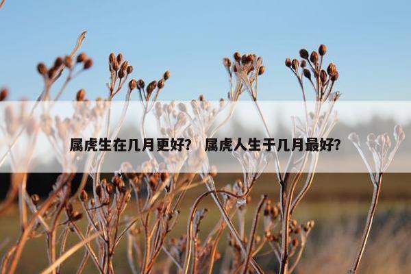 属虎生在几月更好？ 属虎人生于几月最好？