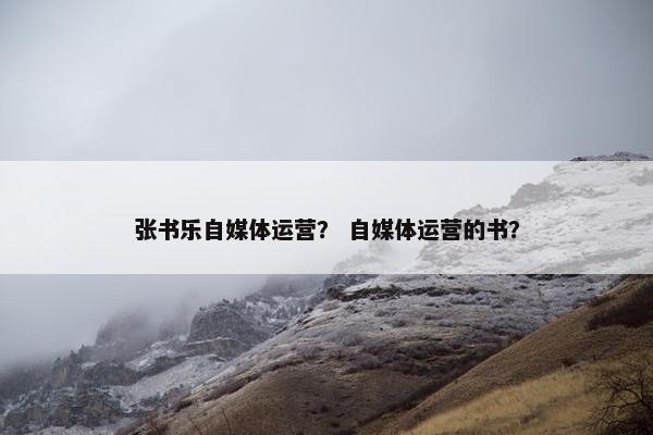 张书乐自媒体运营？ 自媒体运营的书？