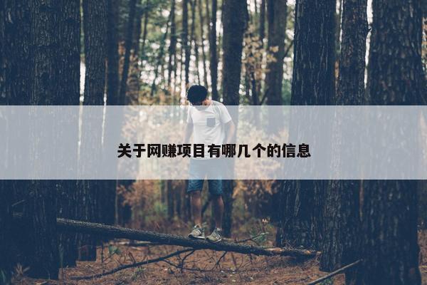 关于网赚项目有哪几个的信息