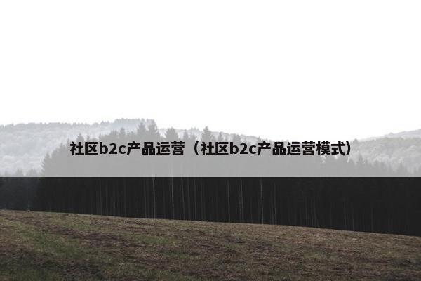 社区b2c产品运营（社区b2c产品运营模式）